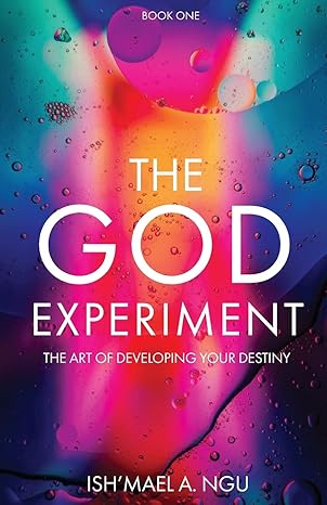 Book cover for The God Experiment